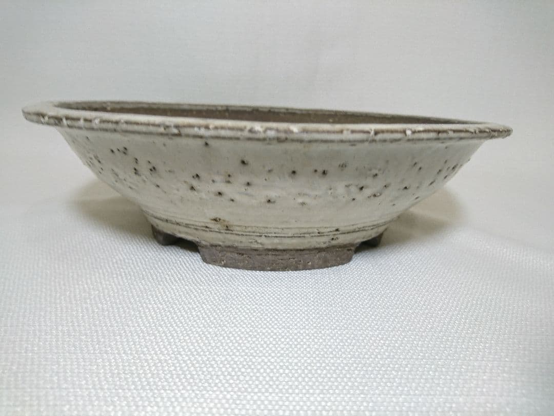 45 盆栽鉢 円形中鉢大★落款入　白模様