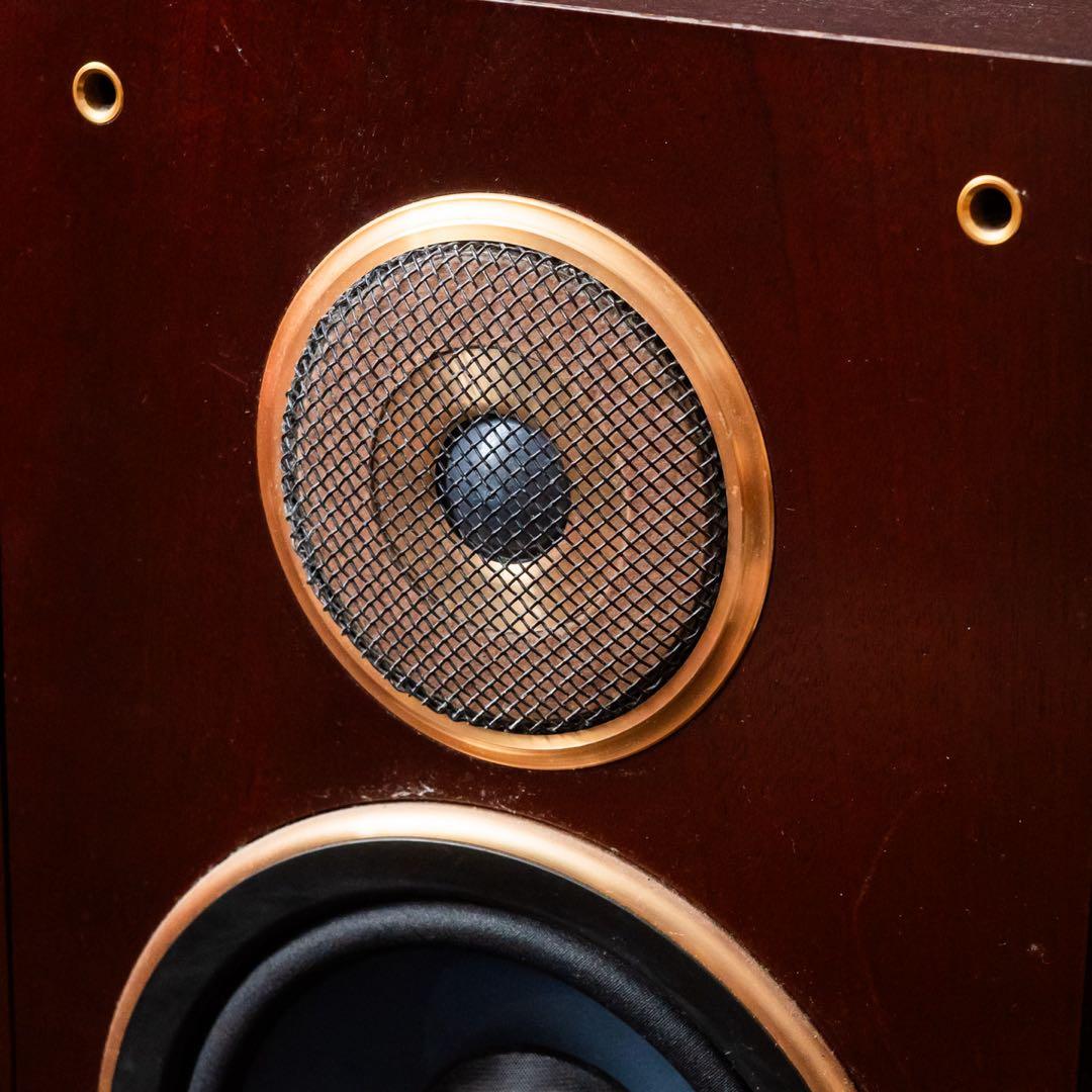 ※両側購入必須　DIATONE DS-700 左側のみ