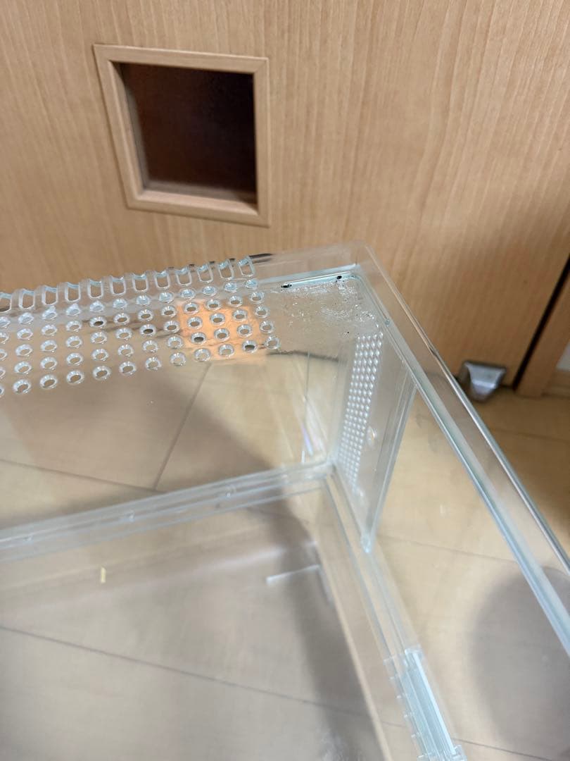 GEX グラスハーモニー600 BUCATSTATEセット