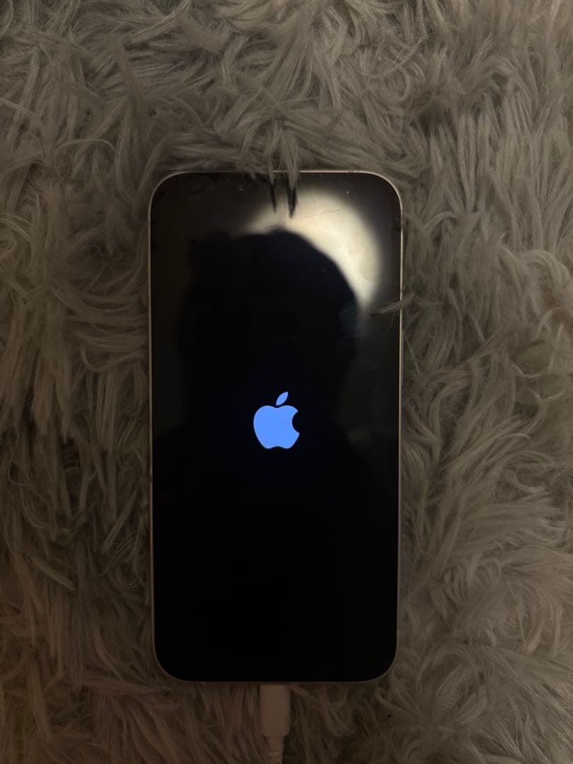 iPhone13 256GB 箱付き