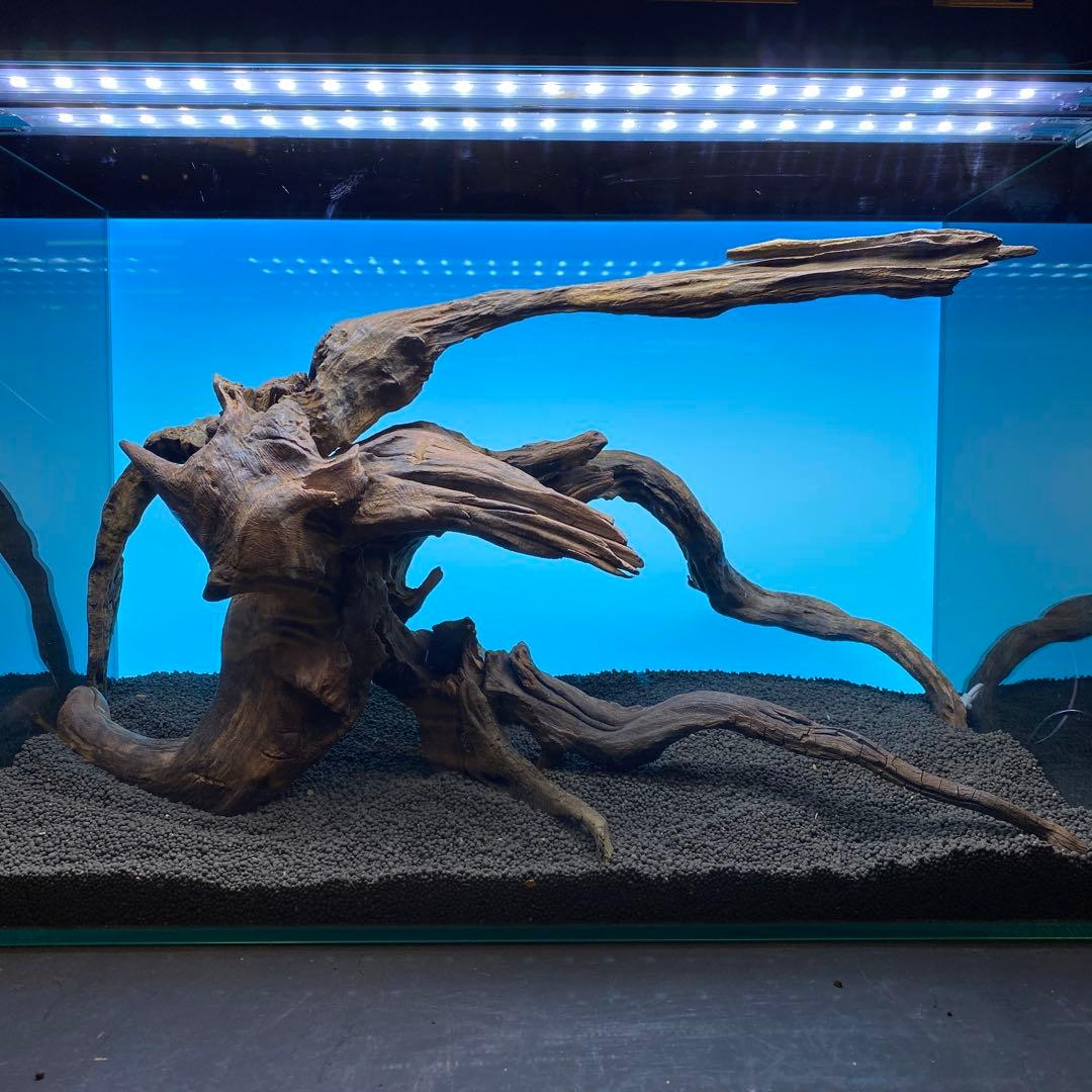 MRW-6691 赤系天然流木レイアウトセット　60cm水槽用流木　アクアリウム