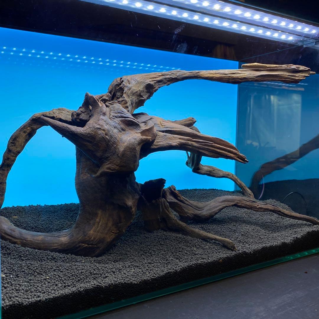 MRW-6691 赤系天然流木レイアウトセット　60cm水槽用流木　アクアリウム