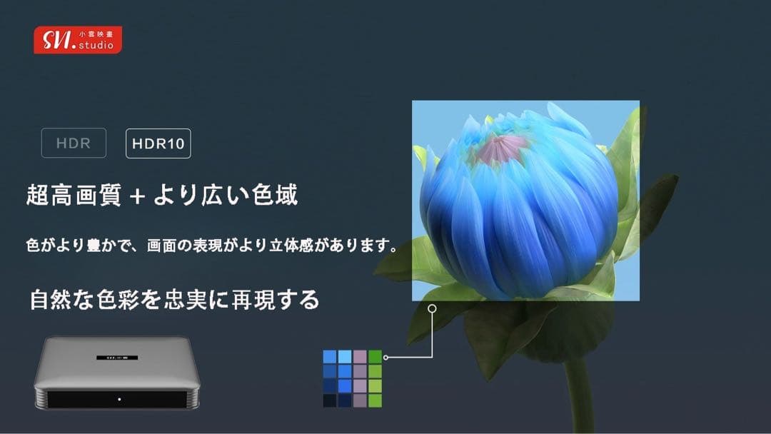 SVI 10Pテレビボックスグローバルチャンネル解放日本欧米韓国ライブ対応