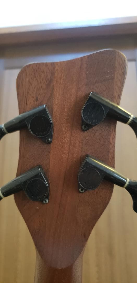 Warwick thumbベースbolt-on　4弦