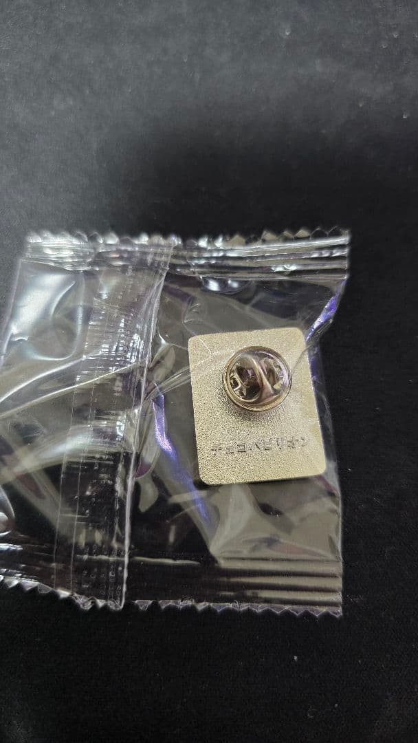 [激レア]大阪・関西万博　チェコ館非売品ピンバッチ