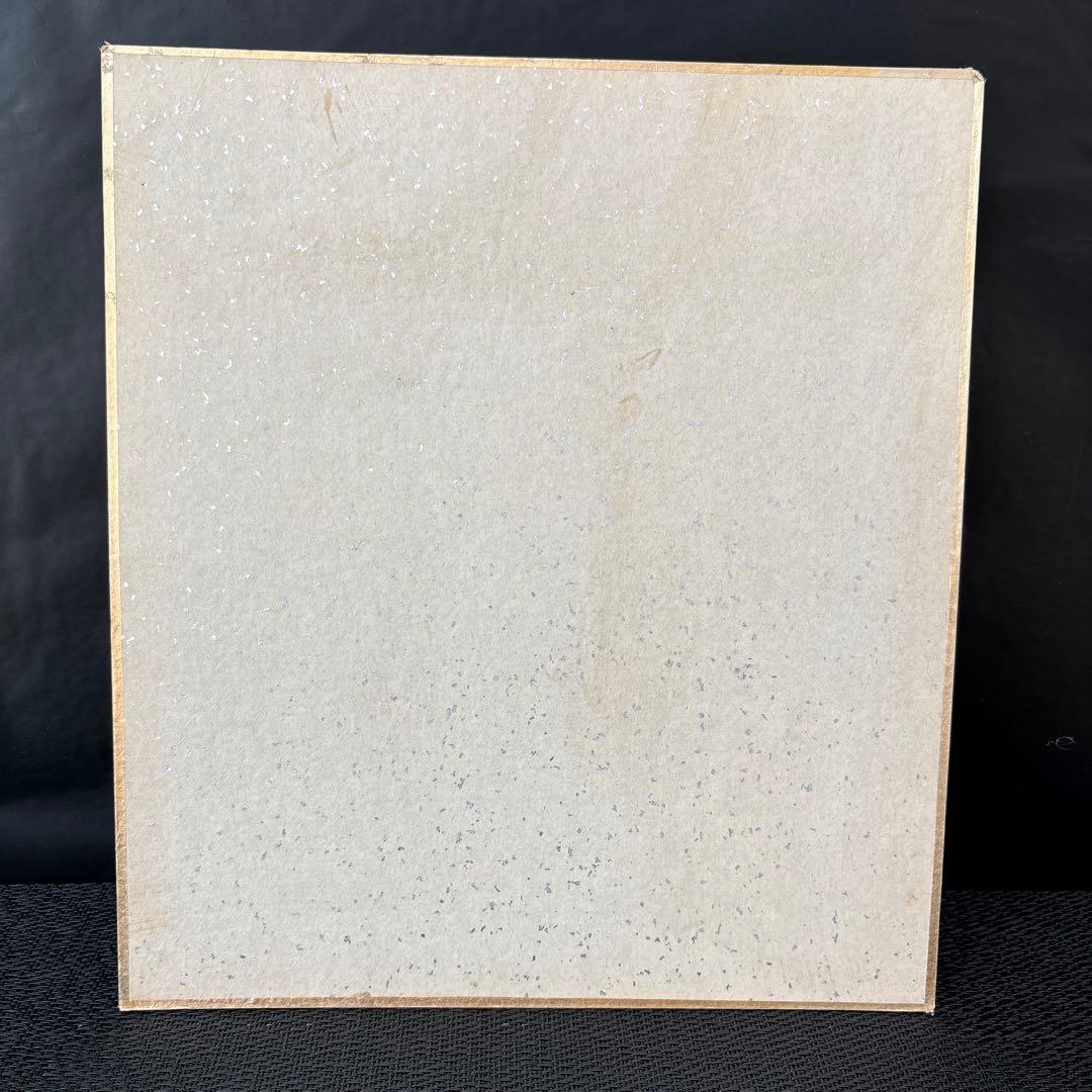 専用品です‼️