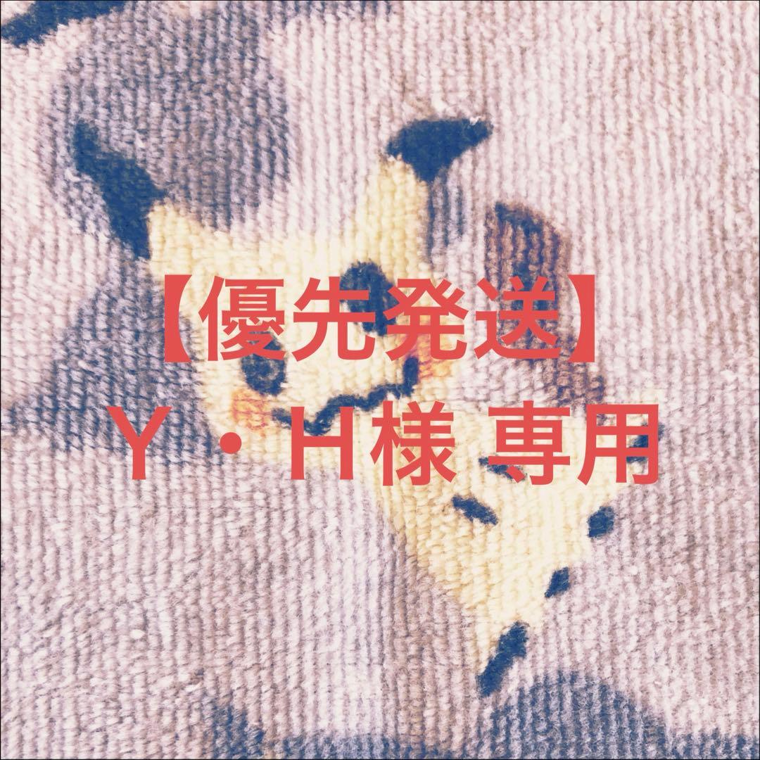 【優先発送】悪魔聖霊ジェミニアス シークレット サイン