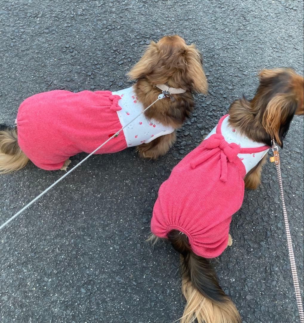 ダックスフンド服　商品受付ページ　カボパンロンパース　つなぎ　犬服　苺　いちご