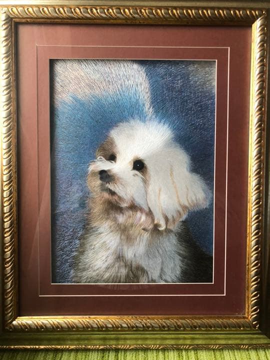 犬の絵画。珍品です。