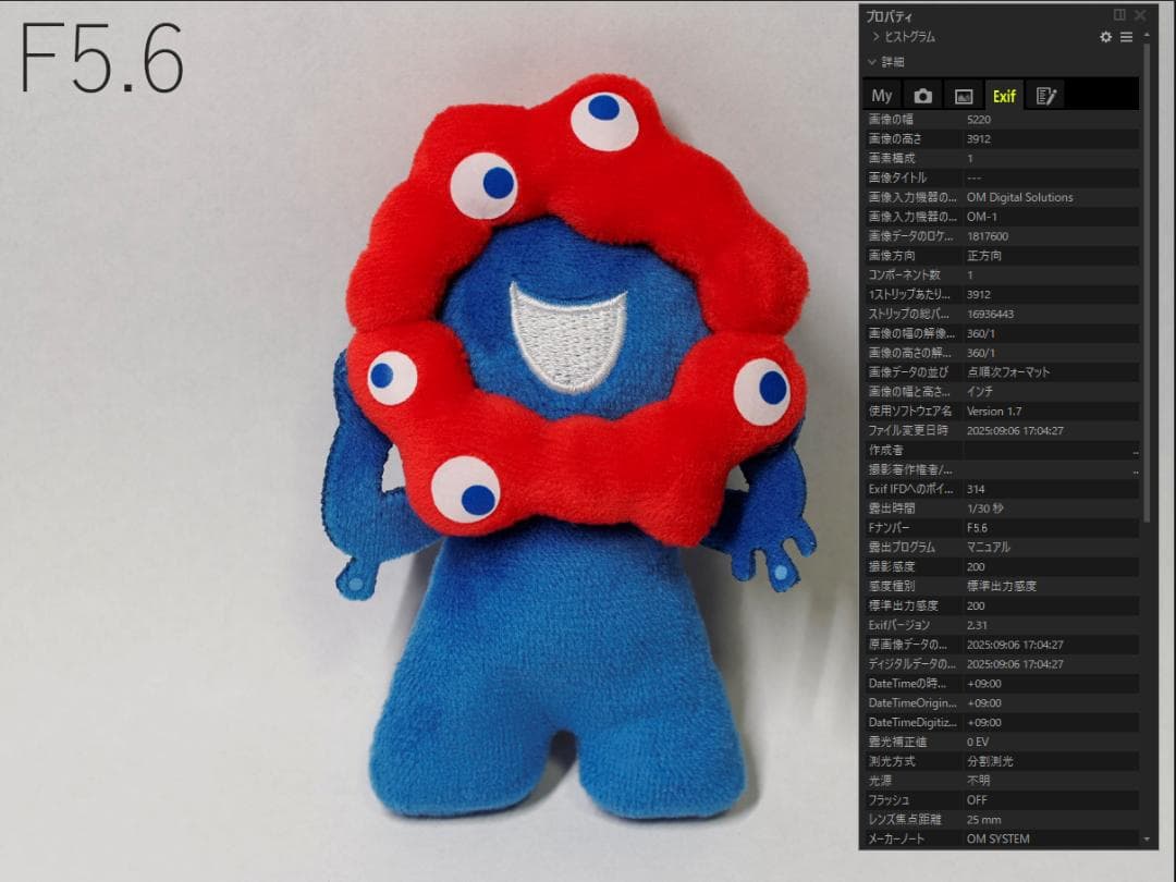 Voigtländer NOKTON 25mm F0.95 +α