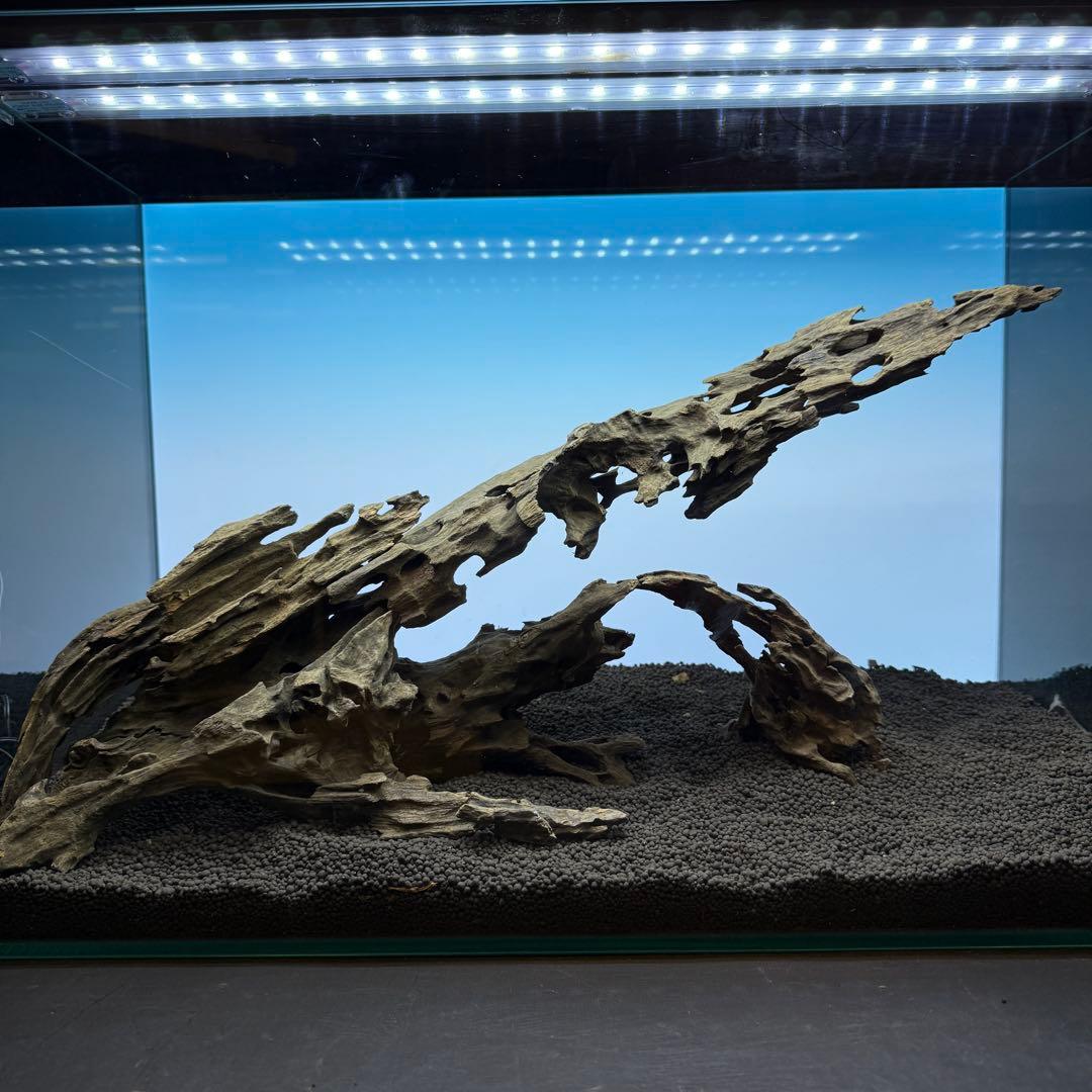 MMW-6631 マシンガンウッドレイアウトセット　60cm水槽用　流木