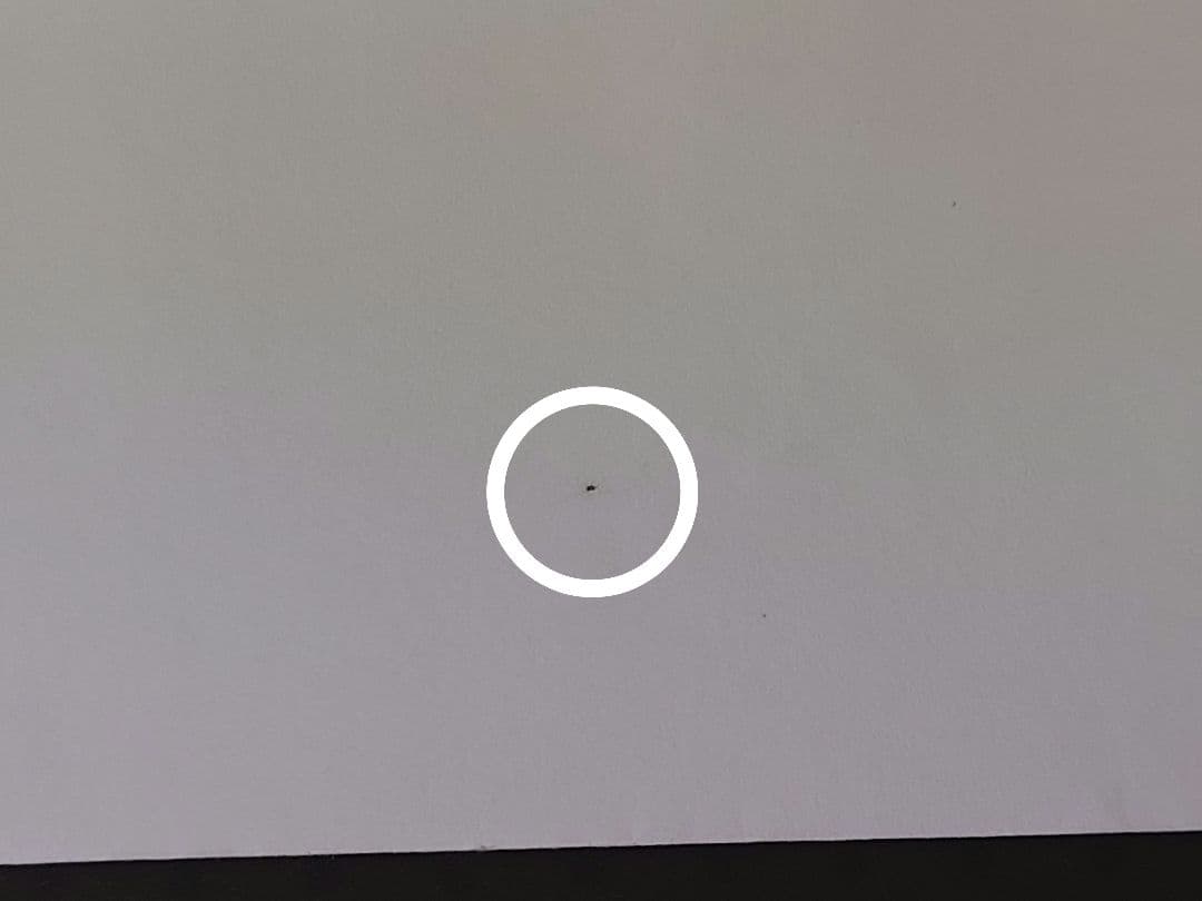 ポケモンだいすきクラブ　プロモ　ゴールドランク　019/L-P　未開封　封筒付き