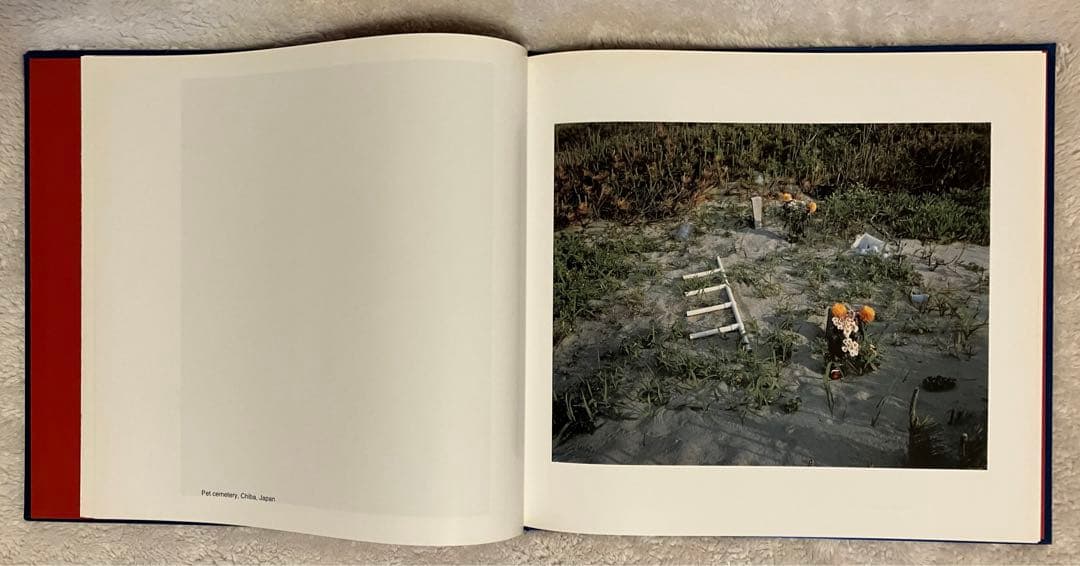 【初版】【光琳社出版 】THE MAD BROOM OF LIFE　高橋恭司