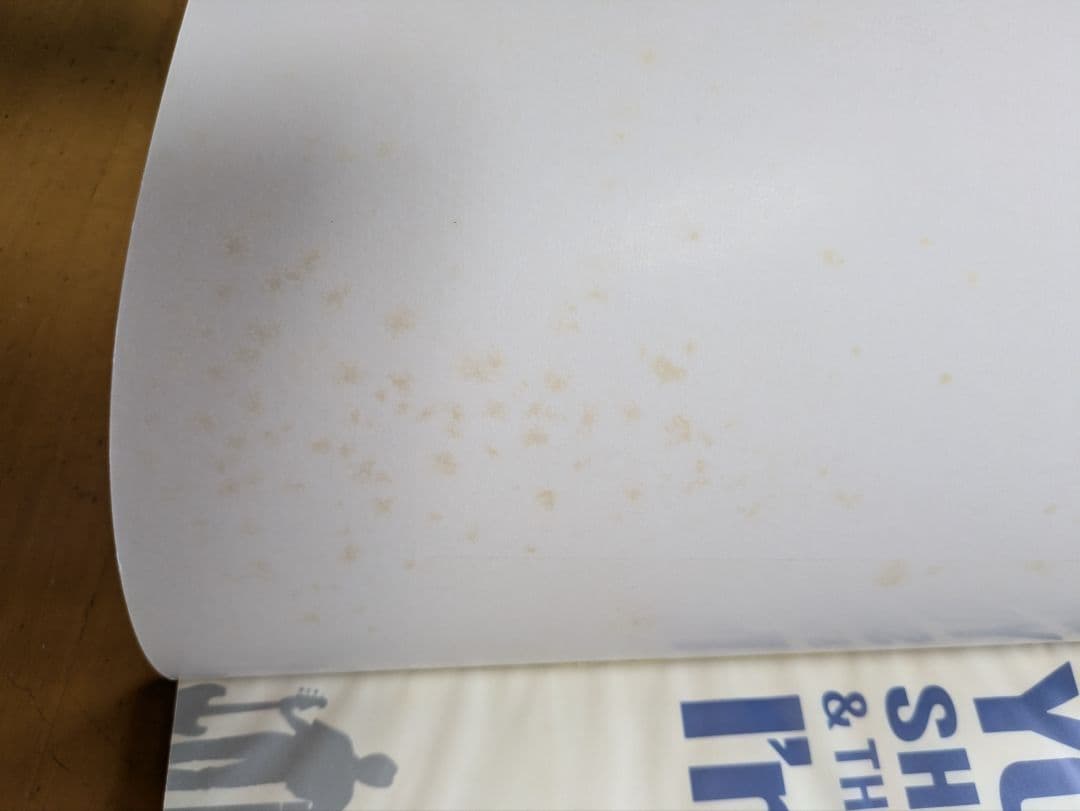 浜田省吾　パンフレット6冊まとめ売り