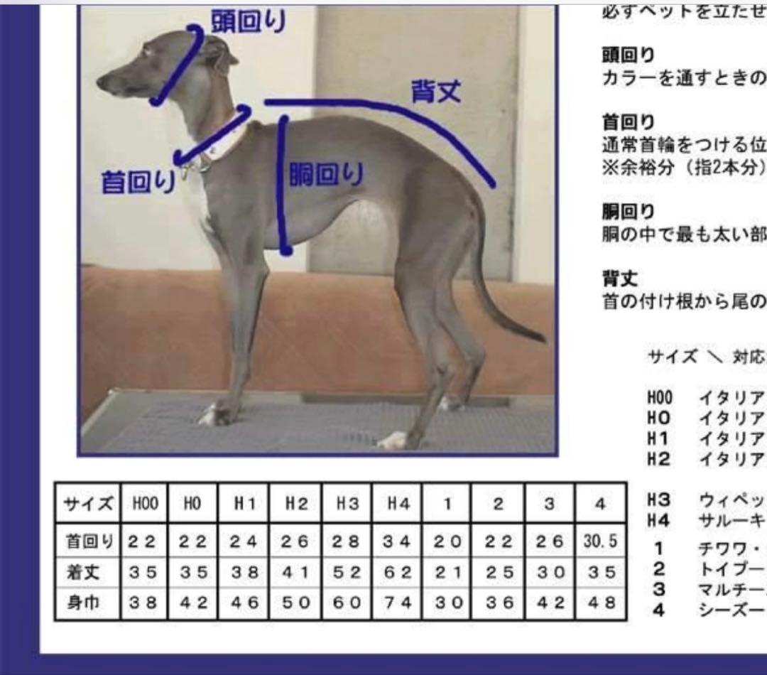 イタグレ　グレインドック　スノースーツ