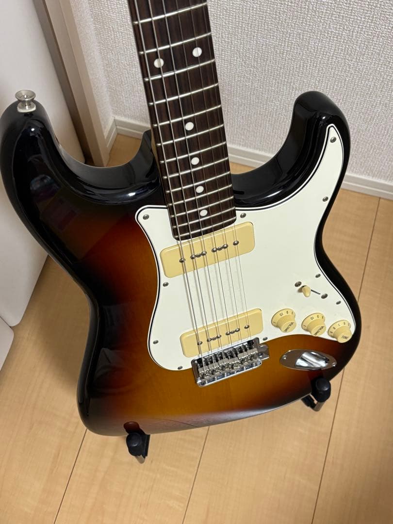 p*l様 fujigen（FGN） SNST101-3TS 【限定生産品】