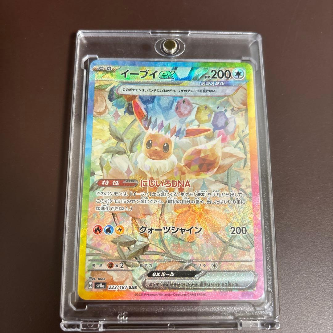 テラスタルフェスゴットパック9枚セット 美品