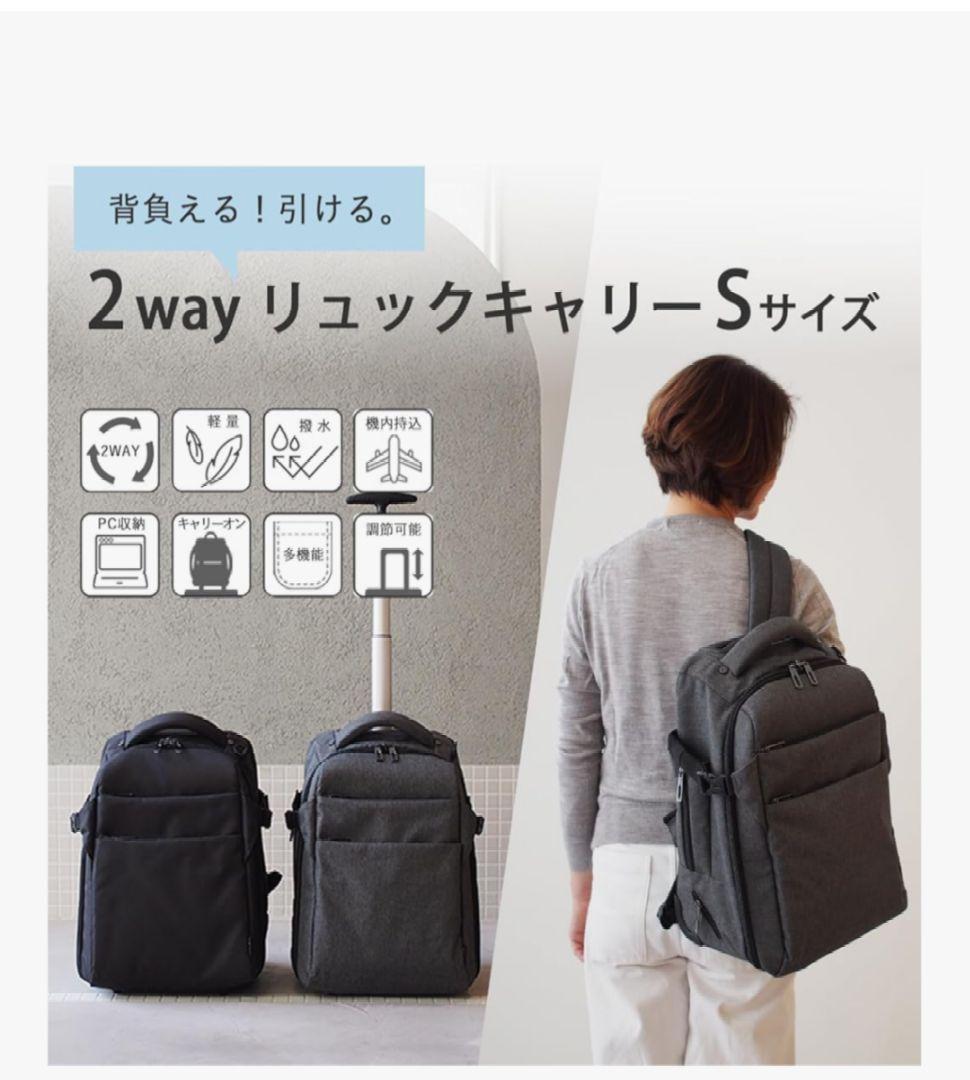 【美品】モエルグ リュックキャリー Sサイズ ミディアムグレー