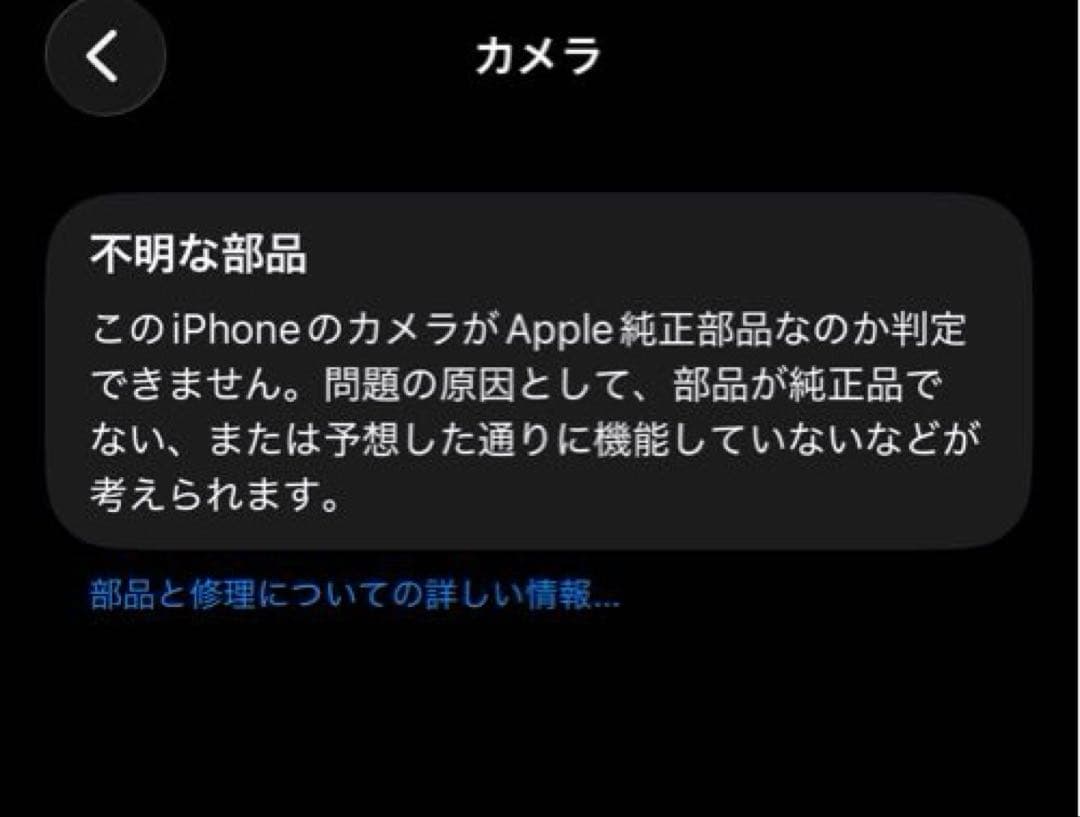 即購入⭕️iPhone13Pro シエラブルー 256GB カメラ訳あり