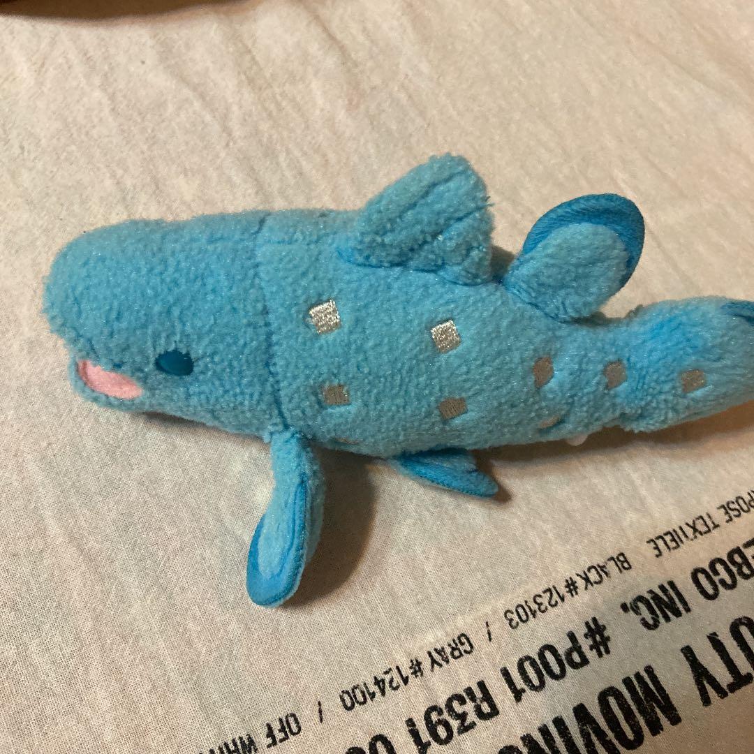 ぷるるんマリン　シーラカンス　ヒモ引っ張りブルブル　綺麗目