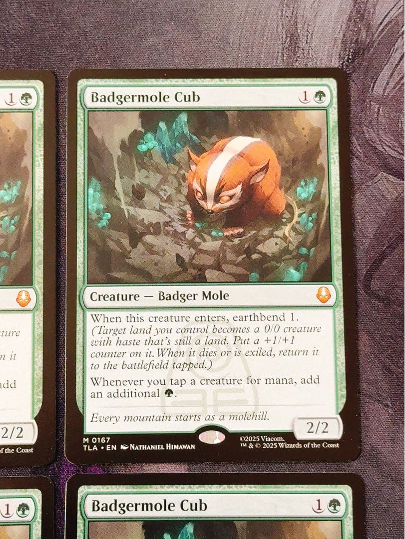 アナグマモグラの仔　英語　4枚セット