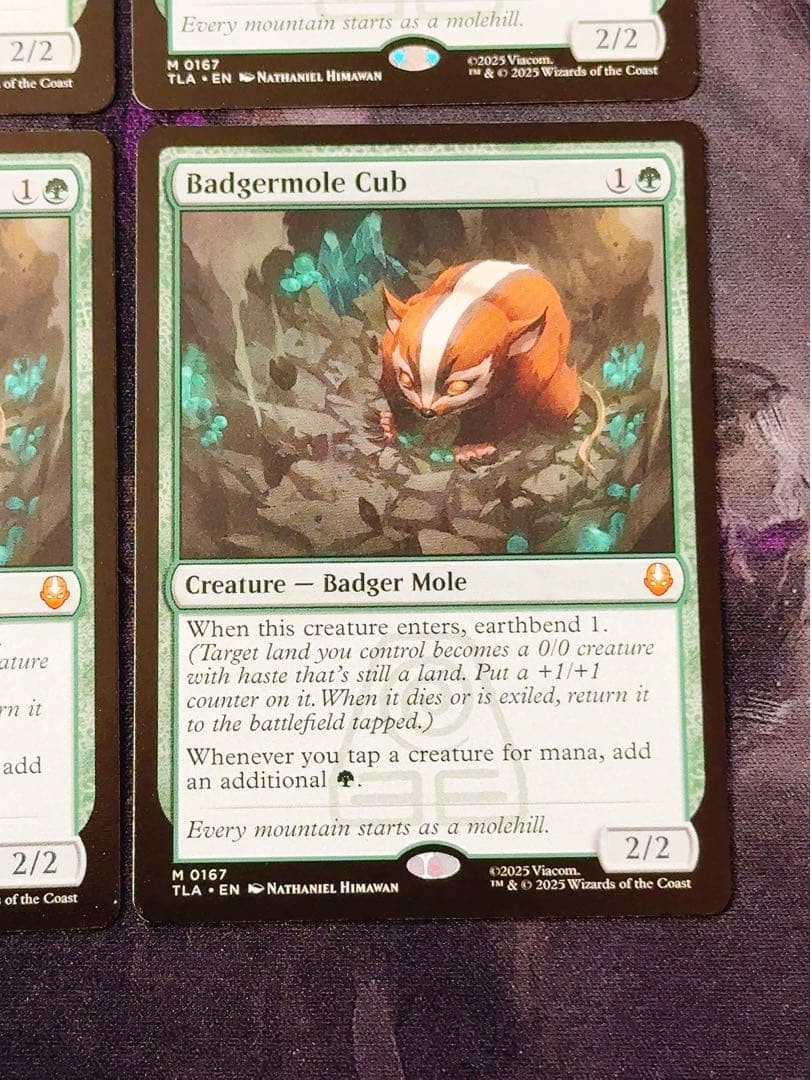 アナグマモグラの仔　英語　4枚セット