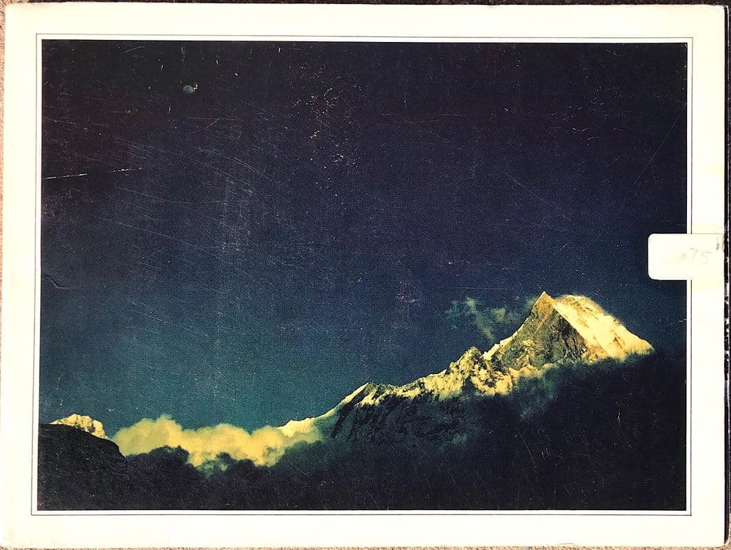 旧 パタゴニア カタログ掲載 ビンテージ手袋