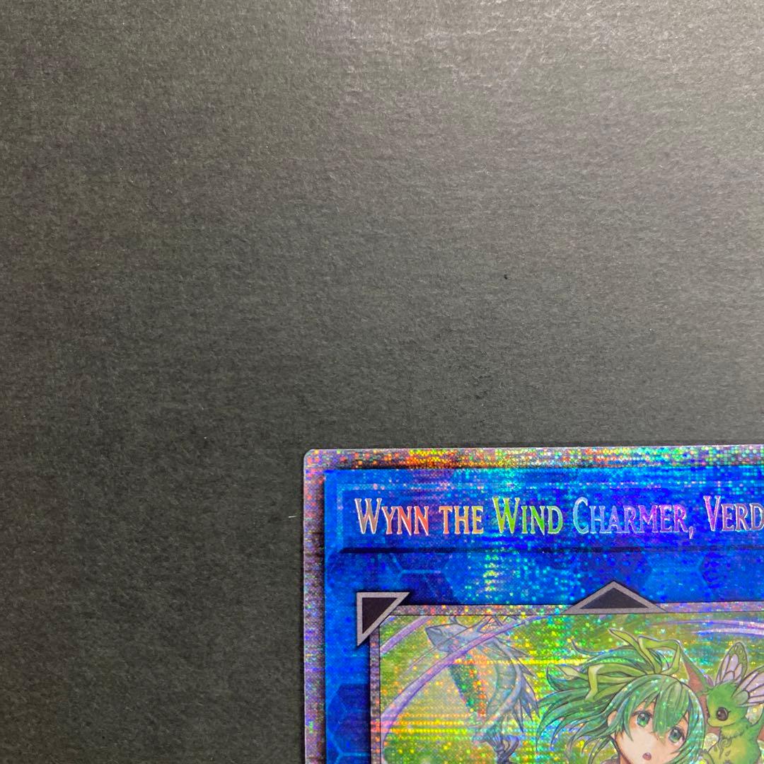 遊戯王　蒼翠の風霊使いウィン　スターライト　1st 英語　RIRA-EN046