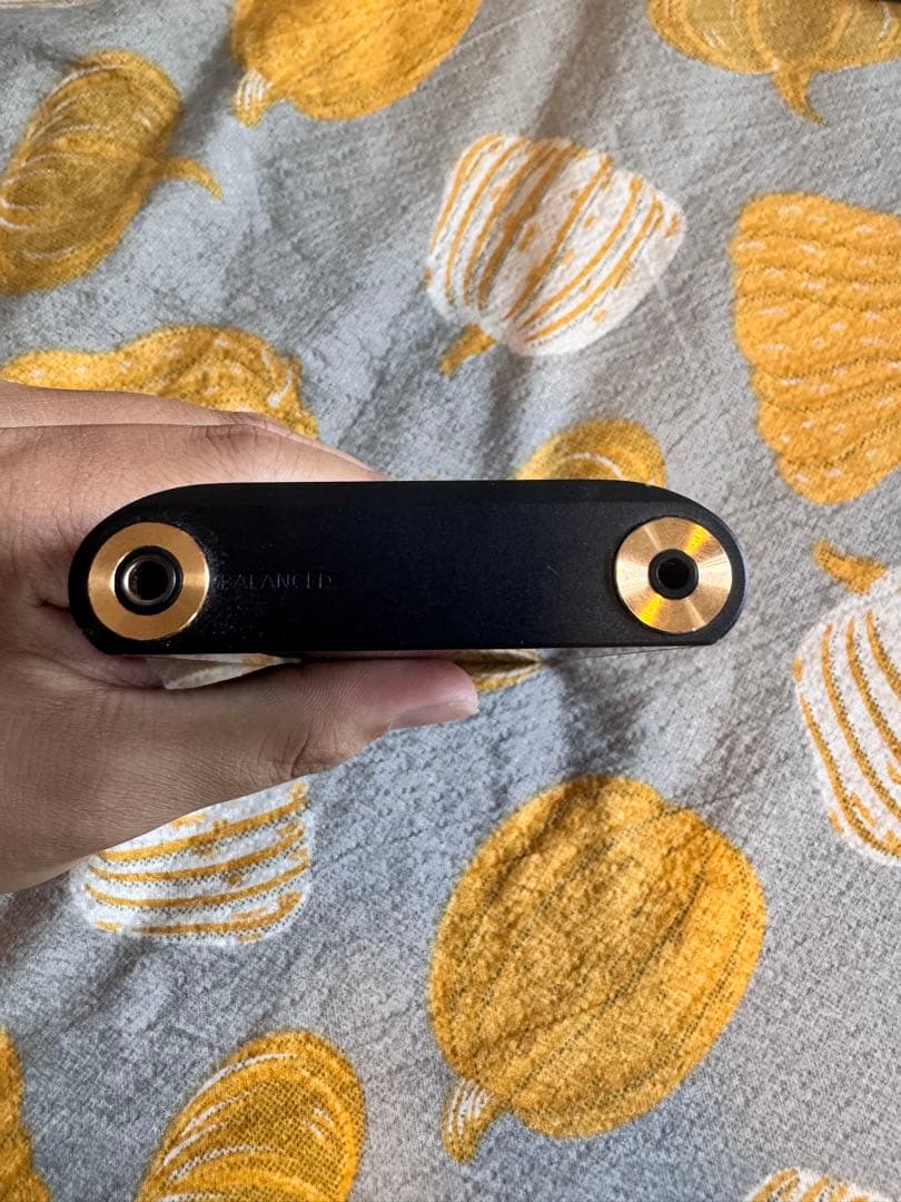 SONY NW-WM1AM2 と純正レザーケース