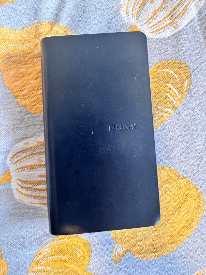 SONY NW-WM1AM2 と純正レザーケース