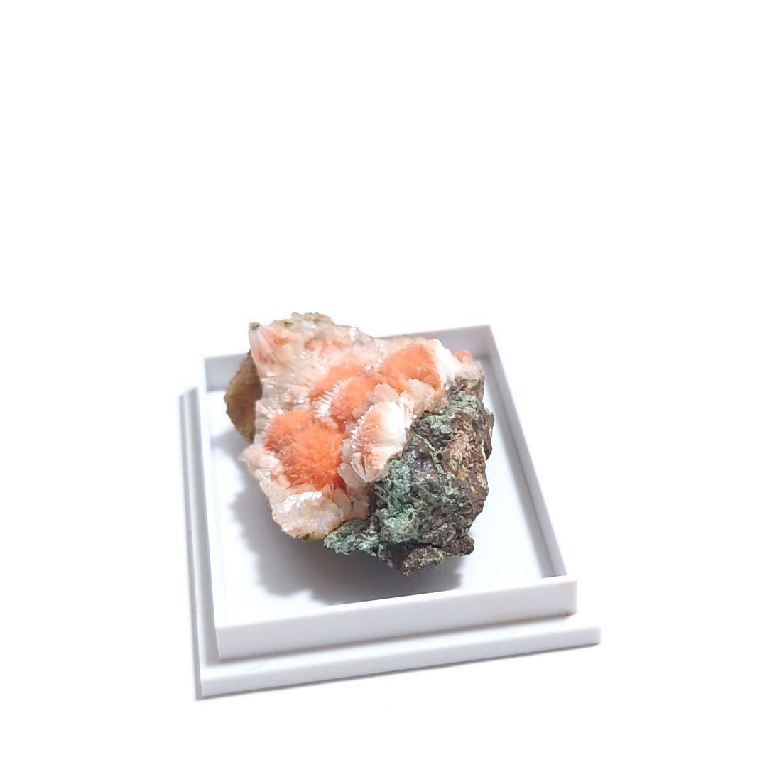 メソライト 2：カダクワニ（インド）