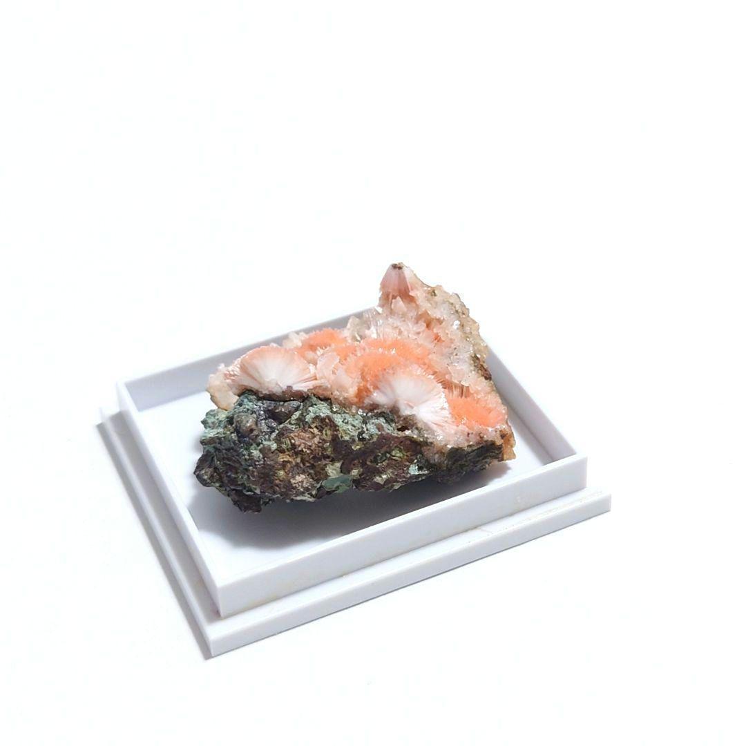 メソライト 2：カダクワニ（インド）