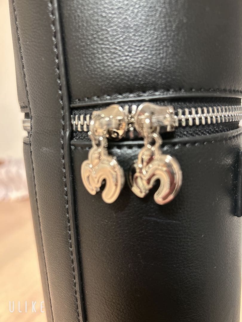 Mrs. GREEN APPLE ペンライトケース