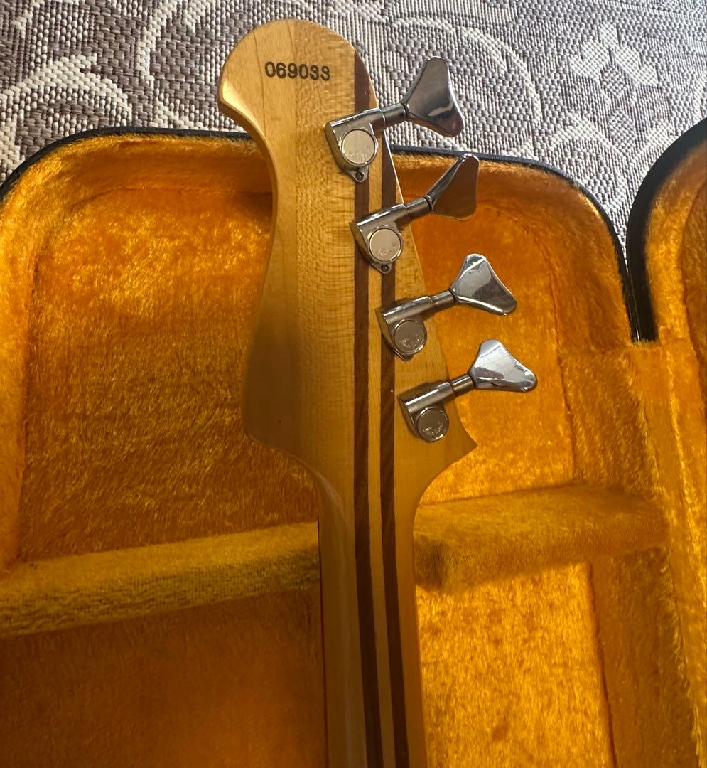 Aria Pro 2 Rsb 600 モデル