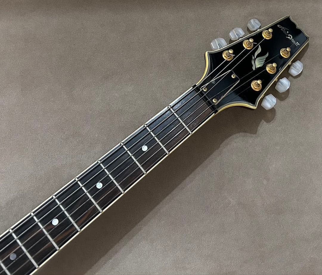 Aria Pro 2 TA-02 セミアコ エレキギター アリア プロ 2レッド