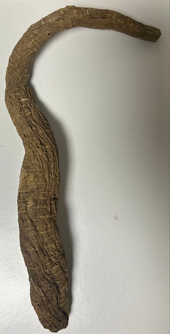 金カム　ゴールデンカムイ　イケマの根