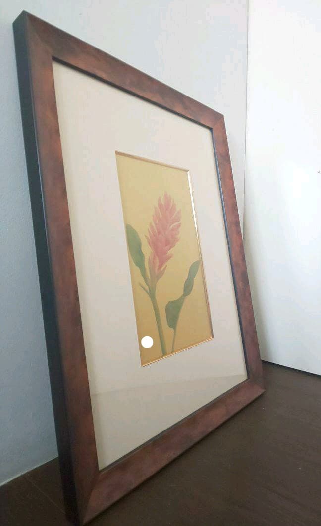 絵画 額付き ヒメバショウ 絹本 花鳥画