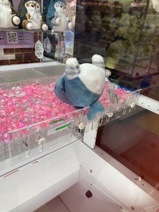 即購入可！ mofusand サメにゃん ぬいぐるみ2 ８種セット