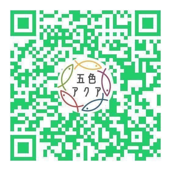 【限定特価】メダカ飼育ケース 36㍑x4個（4色あり）大雨対策付 金魚飼育容器