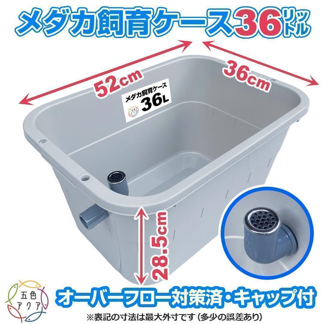 【限定特価】メダカ飼育ケース 36㍑x4個（4色あり）大雨対策付 金魚飼育容器