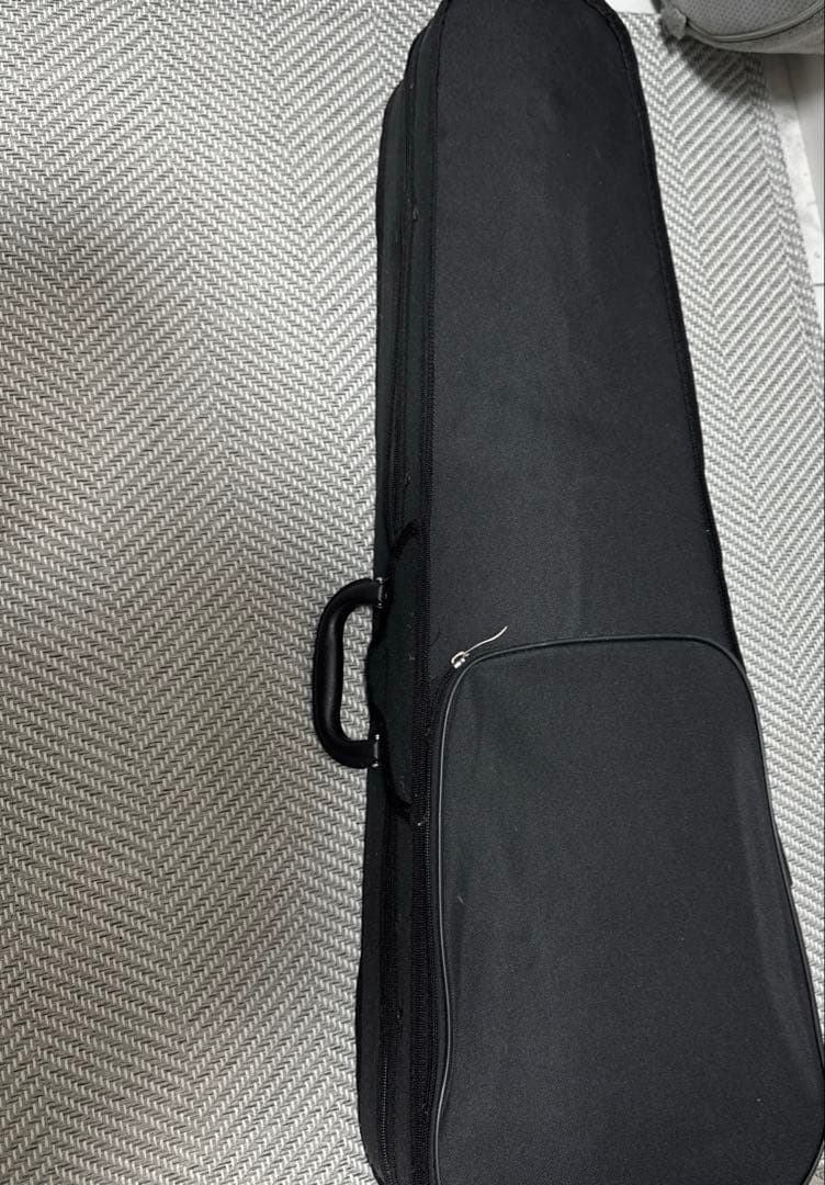 エレキバイオリン　送料込み