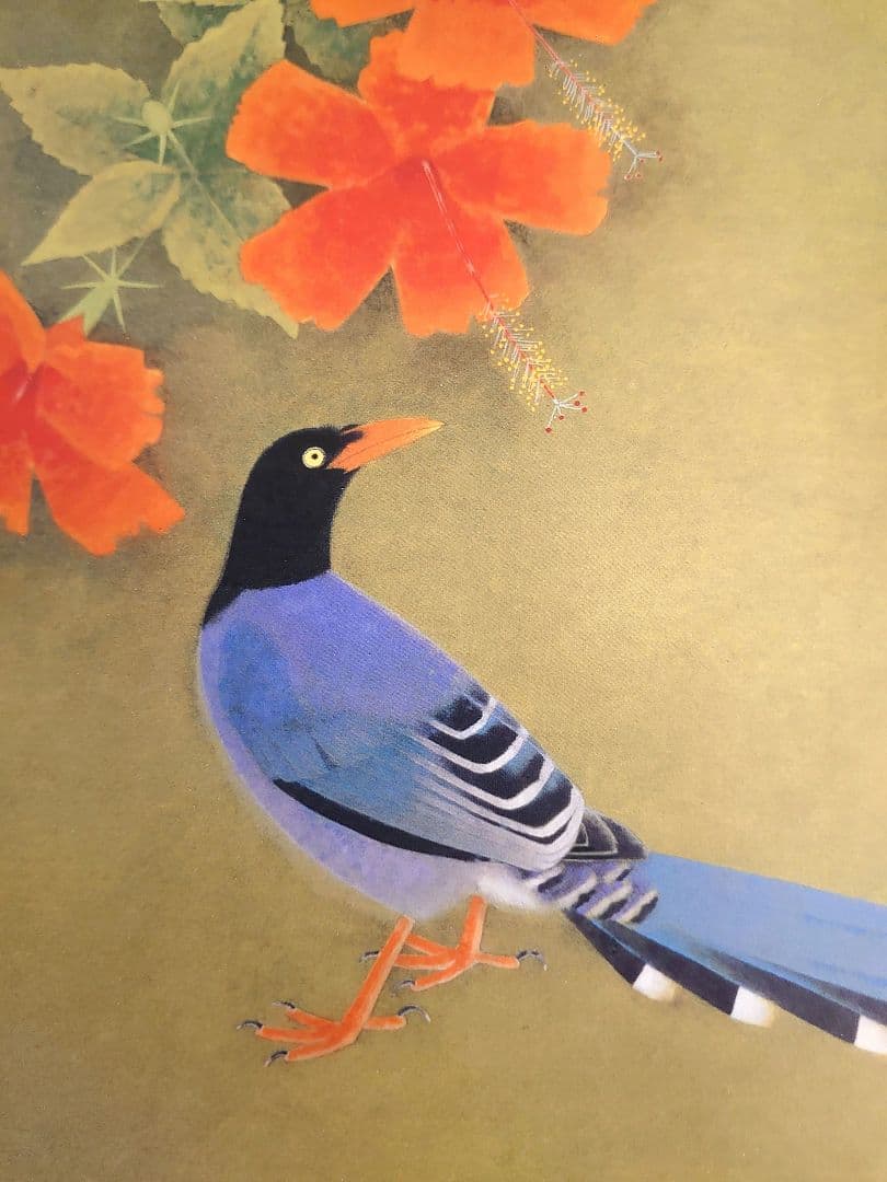 ✨白孔雀 花鳥 上村松篁　全8枚✨