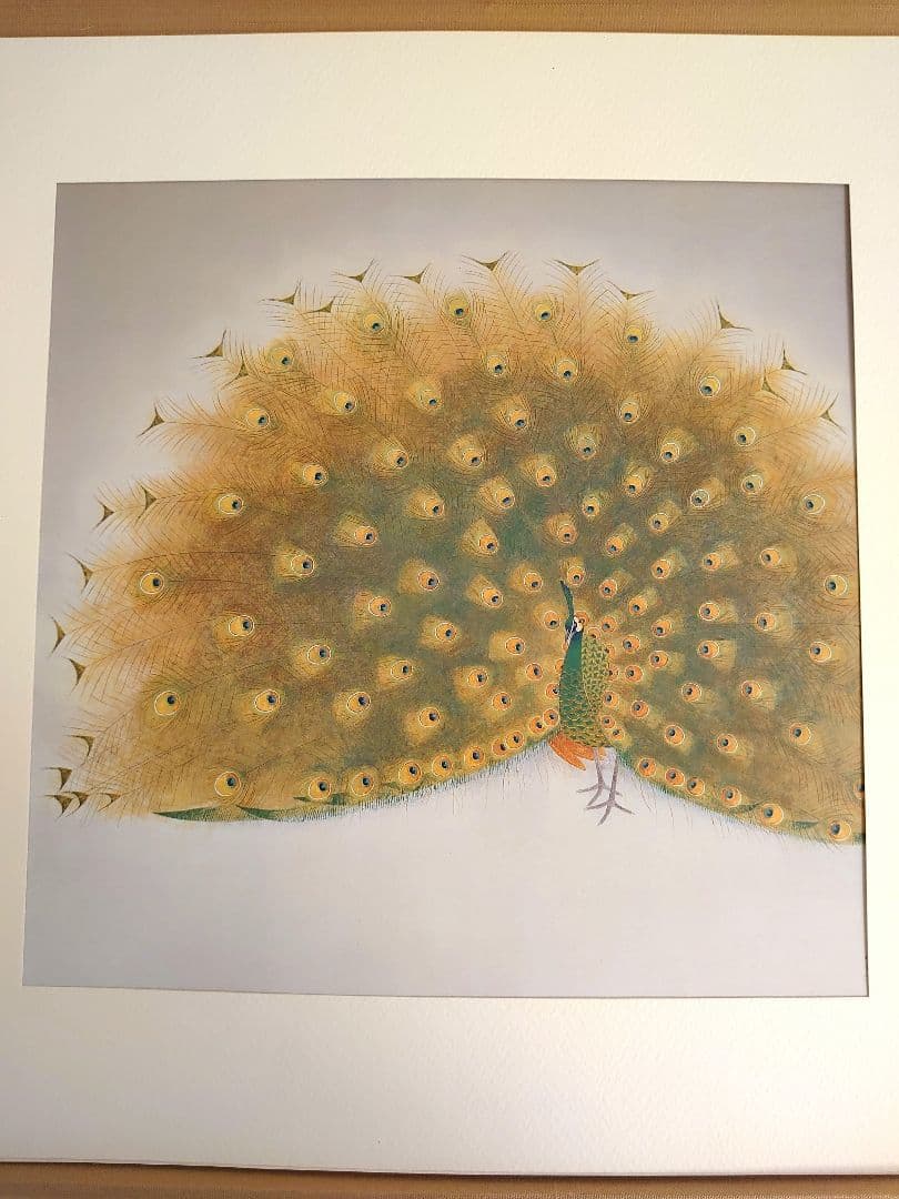✨白孔雀 花鳥 上村松篁　全8枚✨