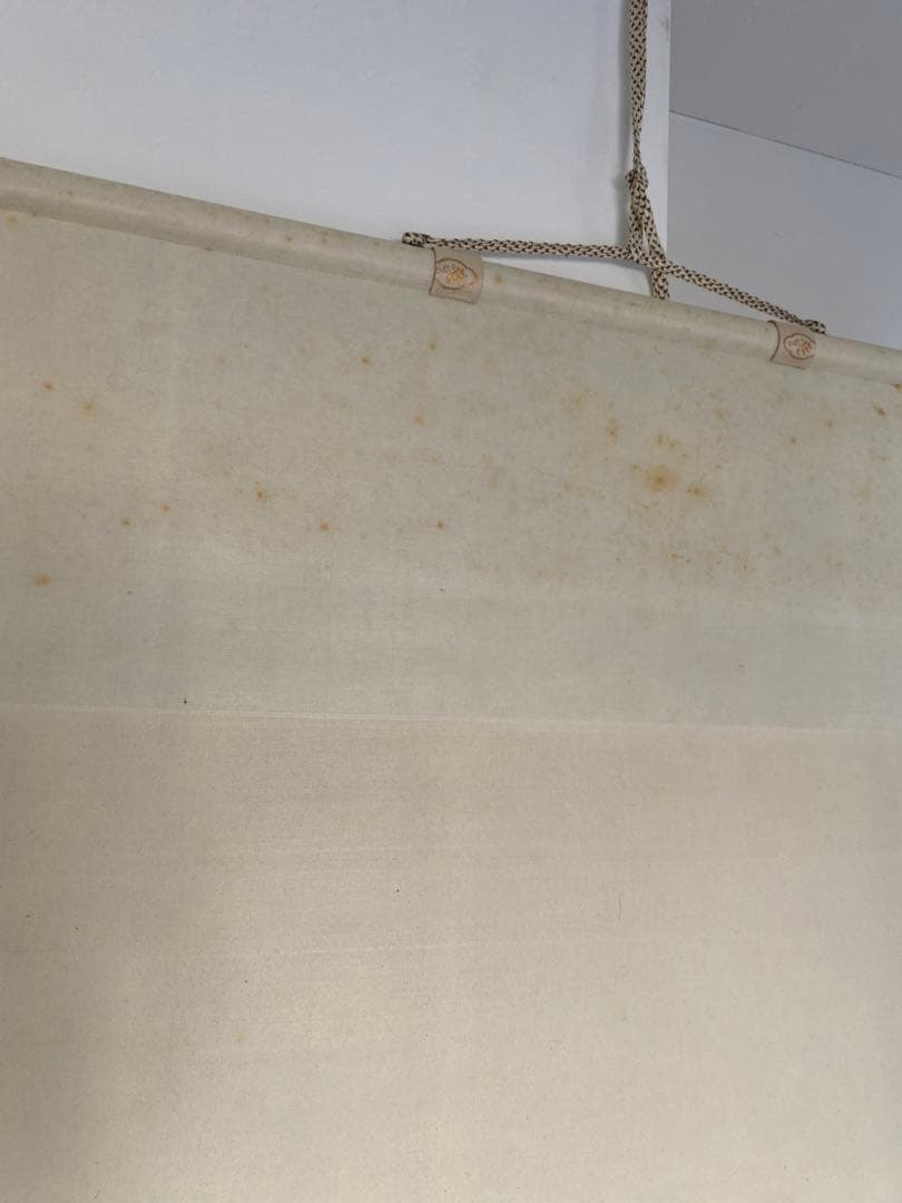 南画　碇南嶺 南嶺　雛　立雛　縁起物　雛人形　掛軸