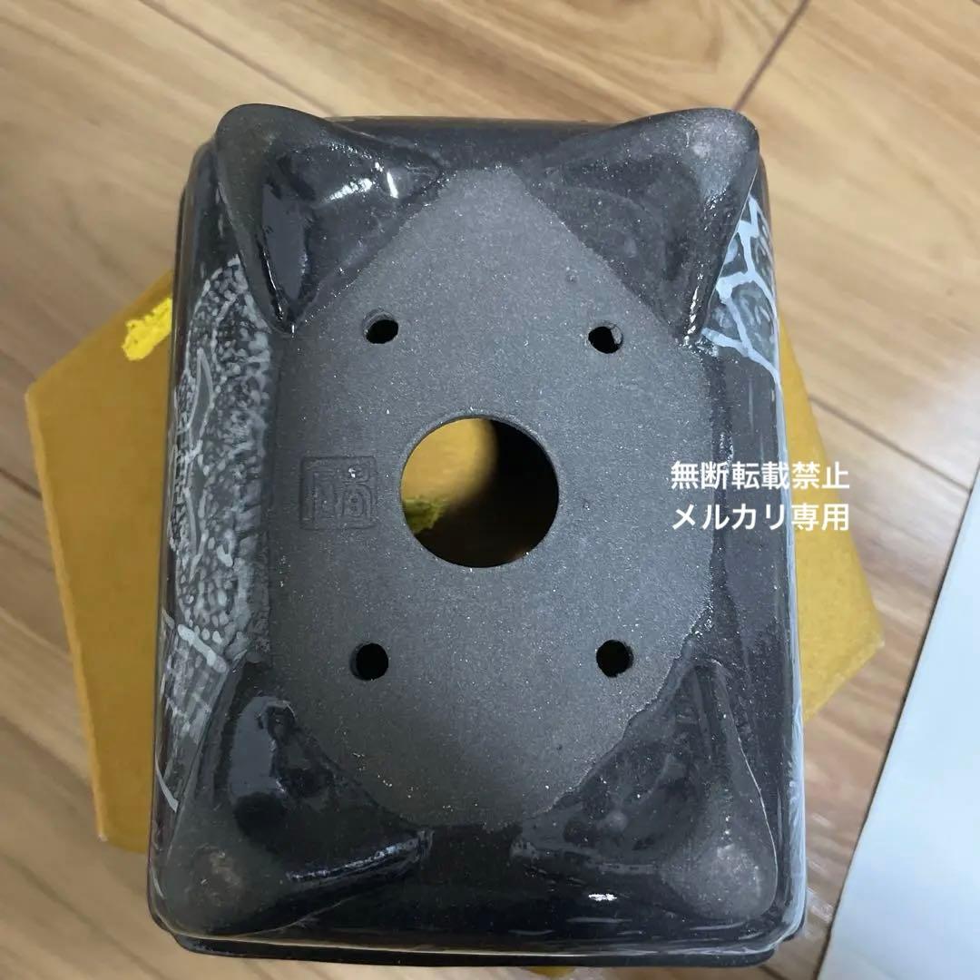 盆栽鉢　桑津香石　絵鉢　山野草　桜　松　鳥　小品盆栽