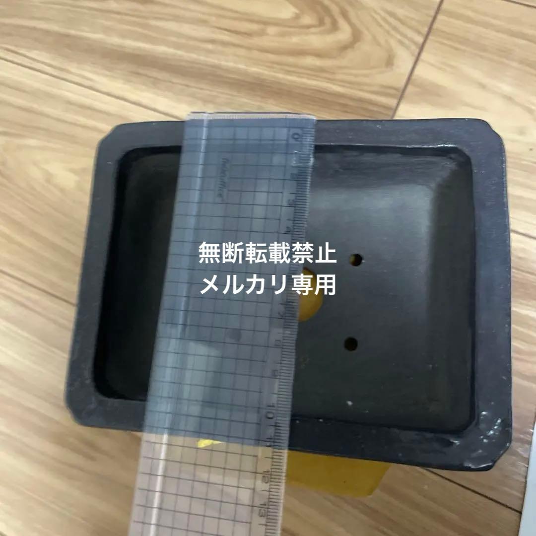 盆栽鉢　桑津香石　絵鉢　山野草　桜　松　鳥　小品盆栽