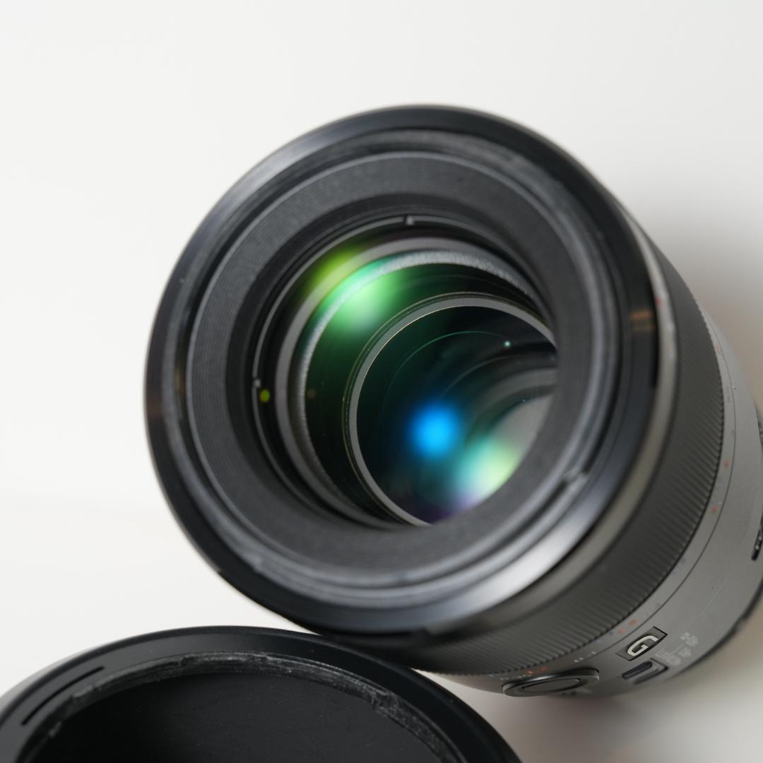 SONY(ソニー) マクロ FE 90mm F2.8EマウントSEL90M28G
