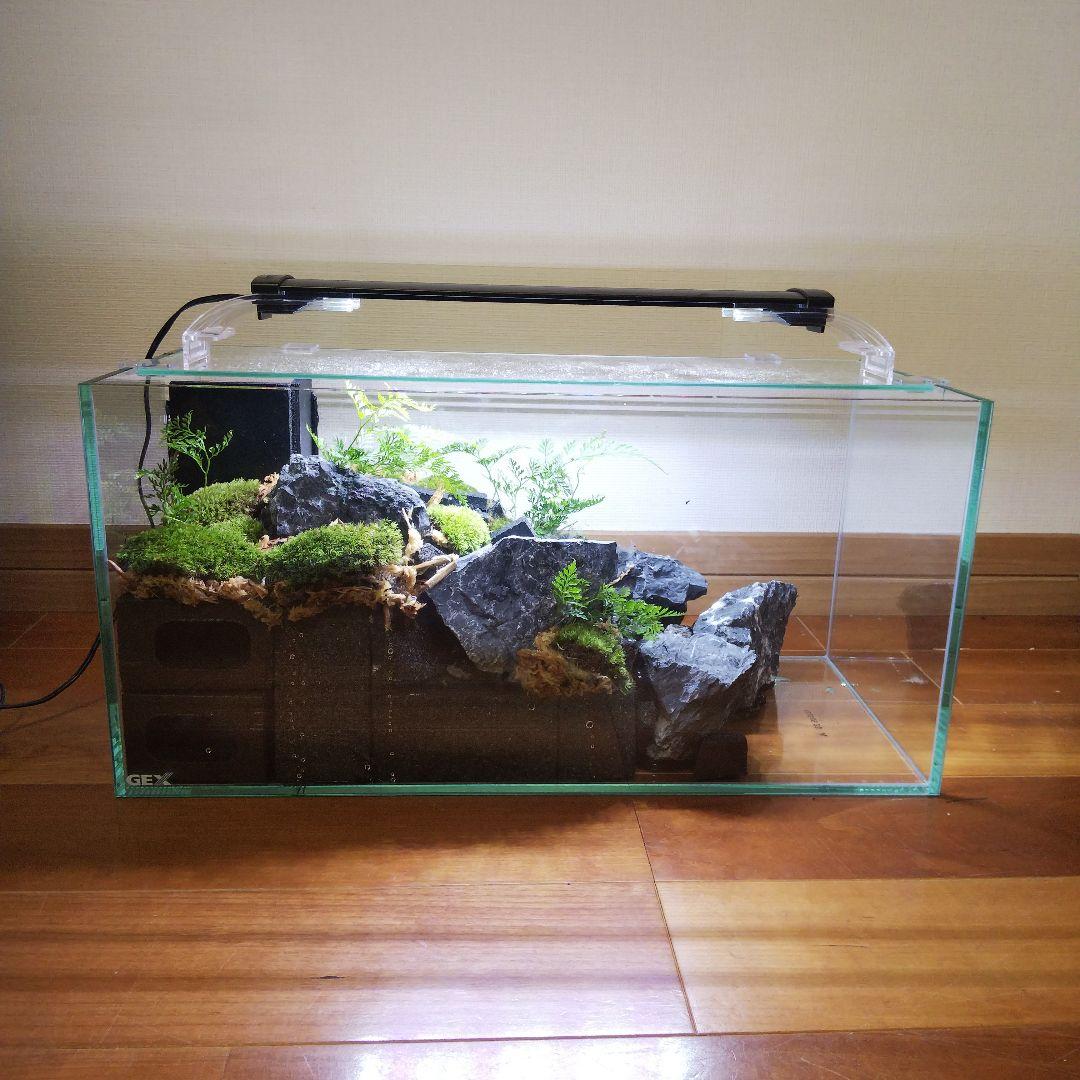 【受注生産】滝の流れるアクアテラリウム　イモリウム　苔テラリウム　テラリウム