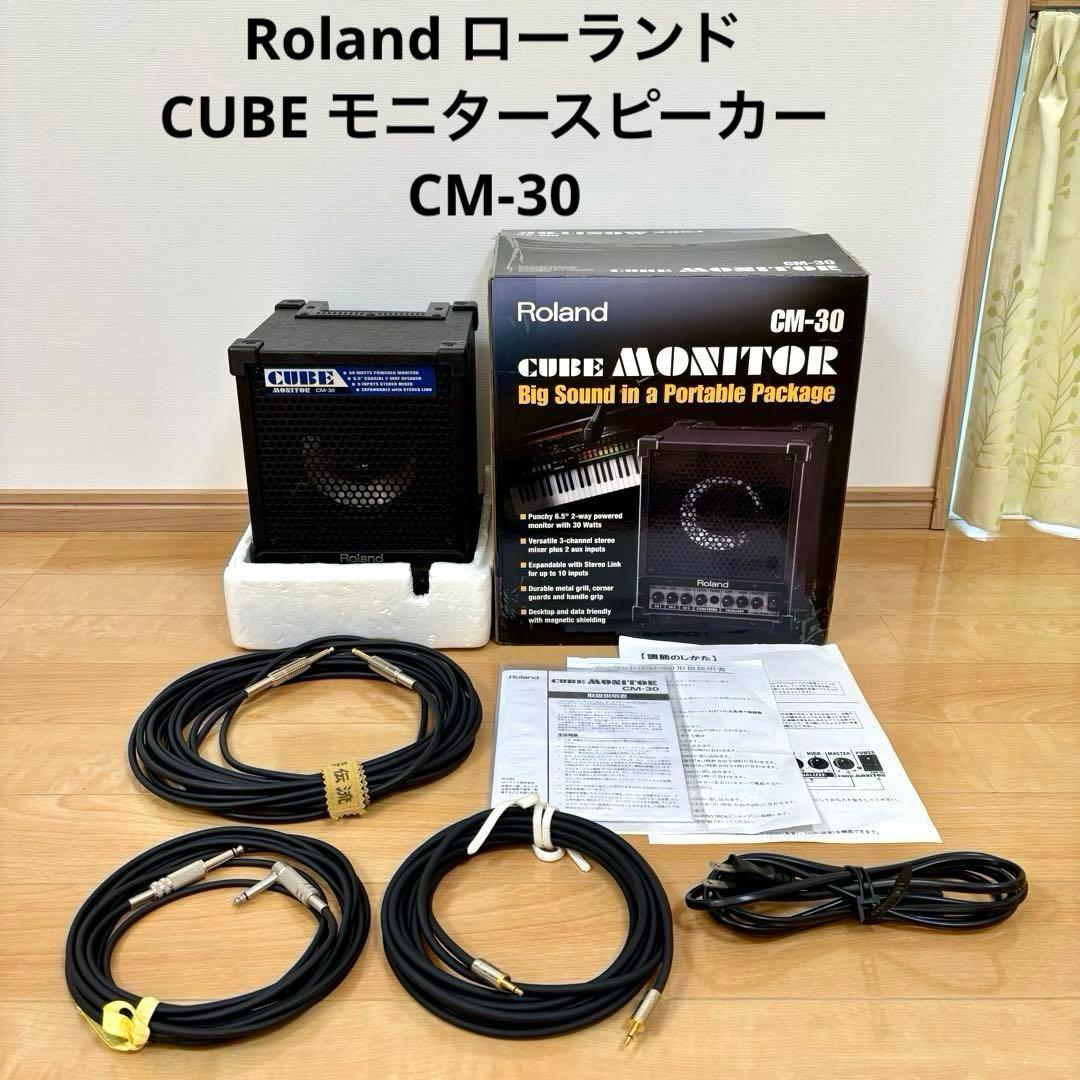 Roland ローランド CUBE CM-30 モニタースピーカー