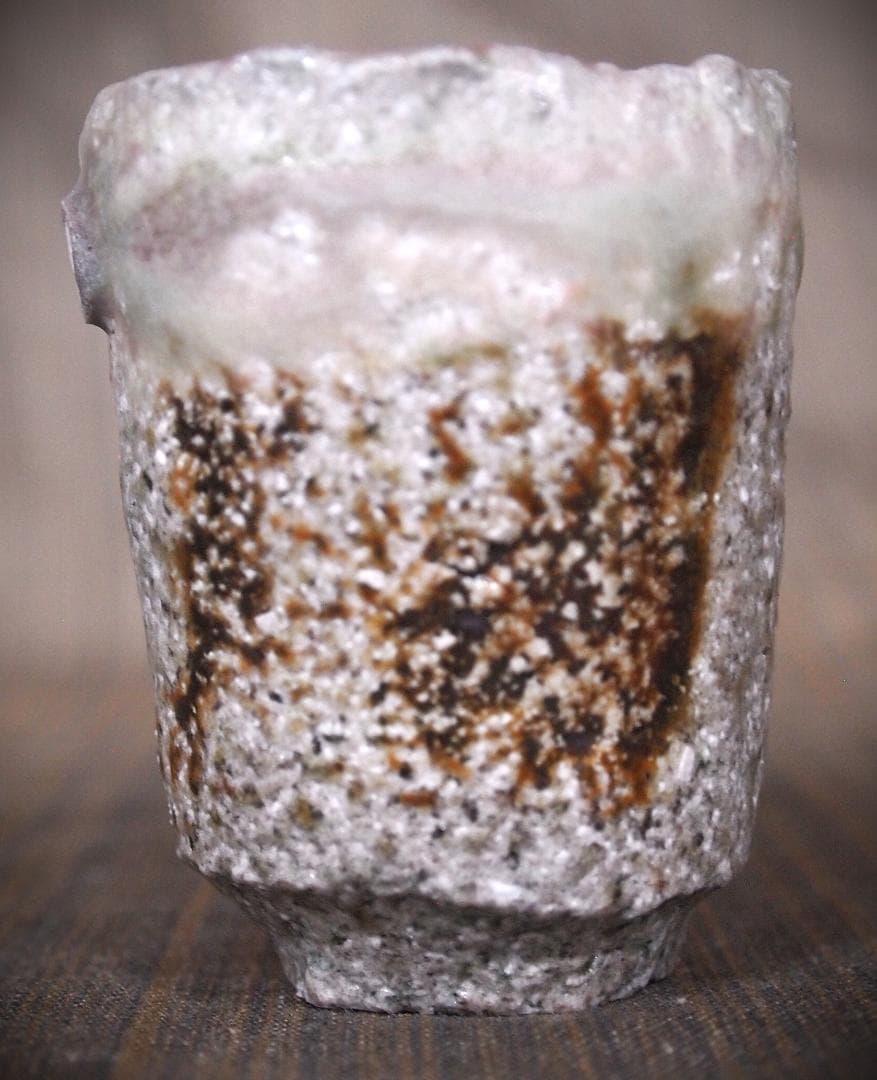 人気作家★高橋燎★信楽【窯変】焼き締め酒器A★トレインキルン薪窯